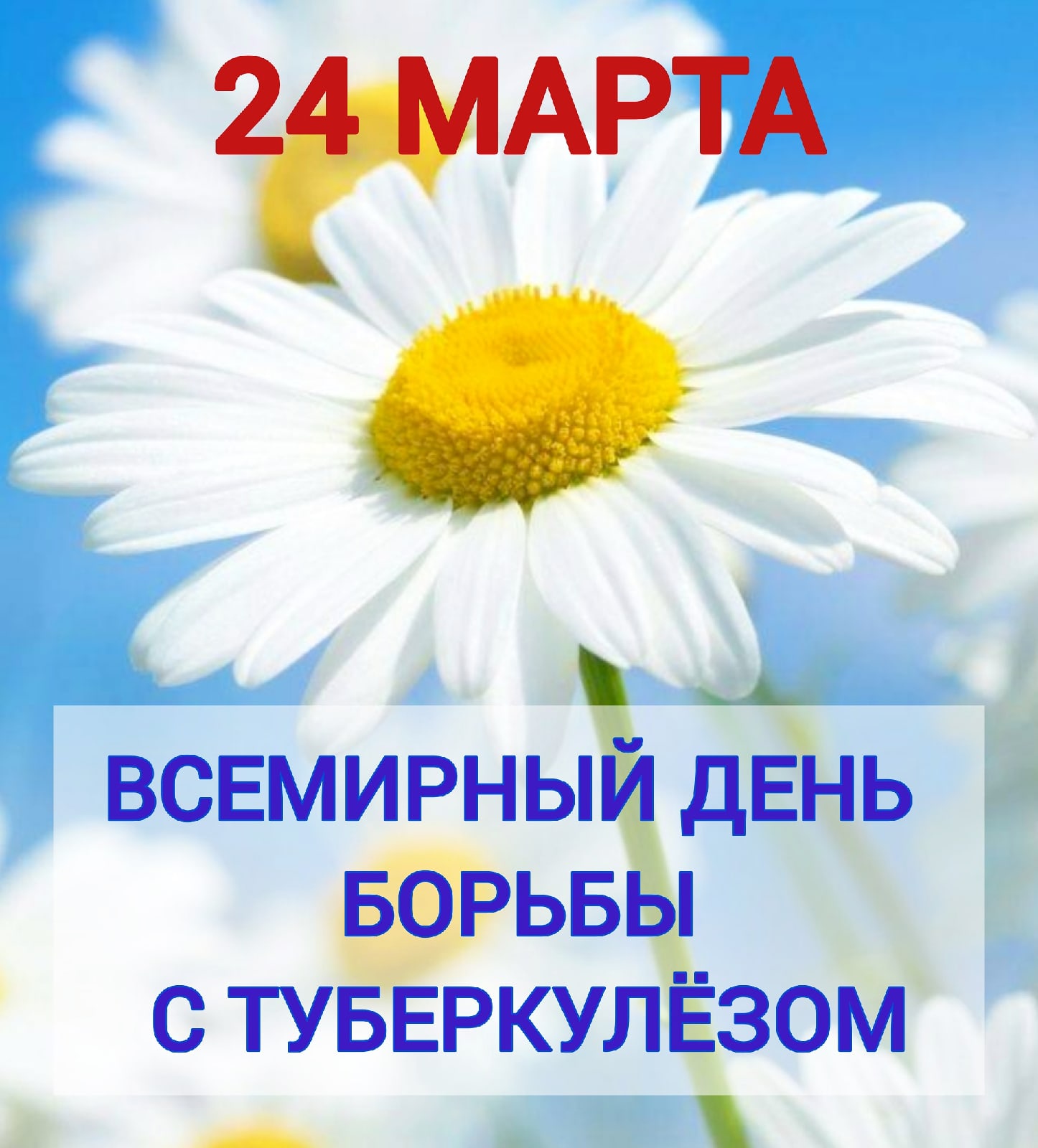 Всемирный день борьбы с туберкулезом картинки. Всемирный день борьбы с туберку.