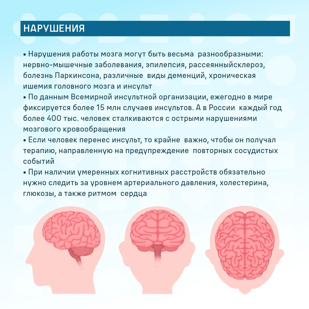 Как сохранить здоровье головного мозга? Ответы в наших картинках |  20.07.2023 | Пермь - БезФормата