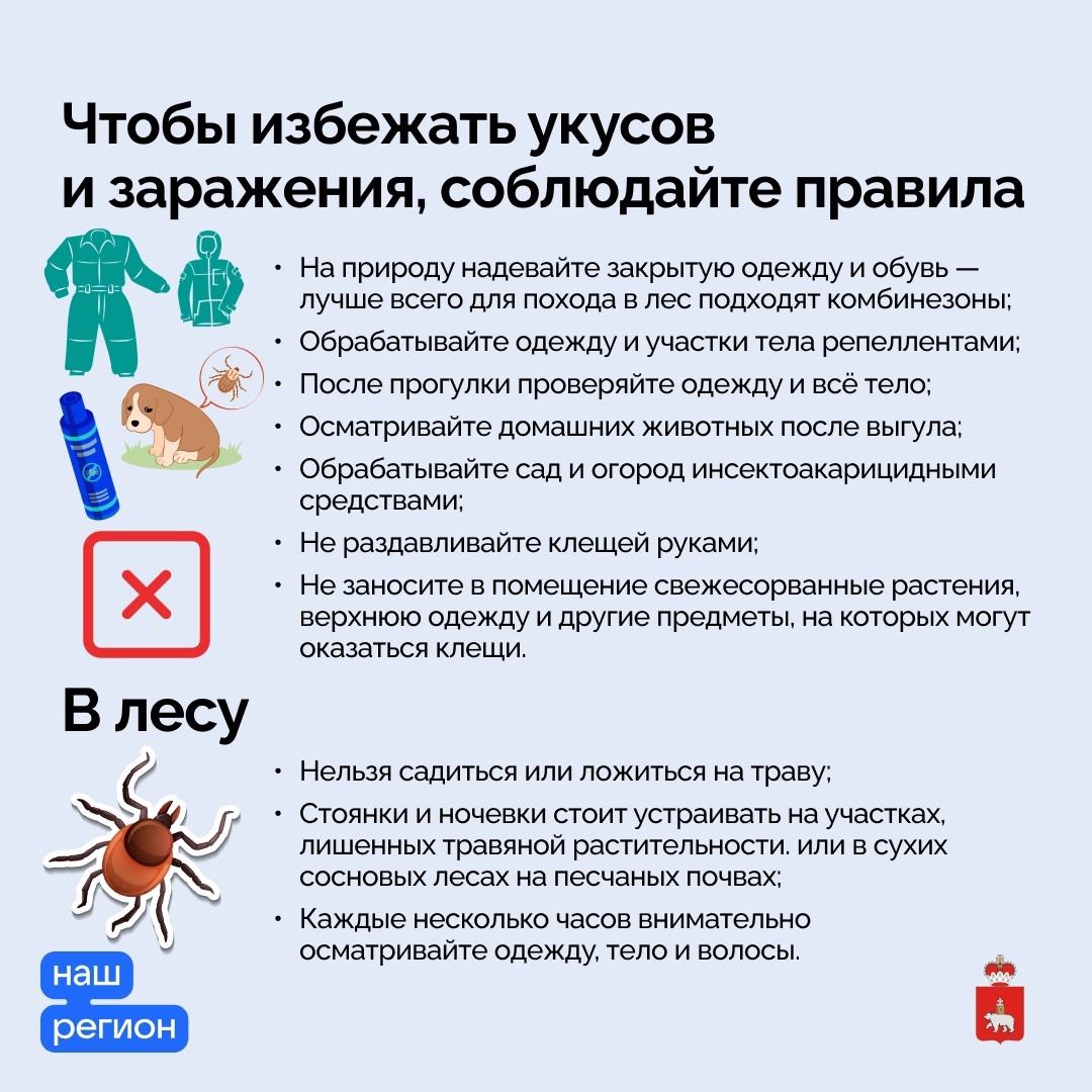 В Прикамье официально начался сезон активности клещей. Список адресов  приема и лабораторного исследования клещей. | 16.04.2024 | Пермь -  БезФормата