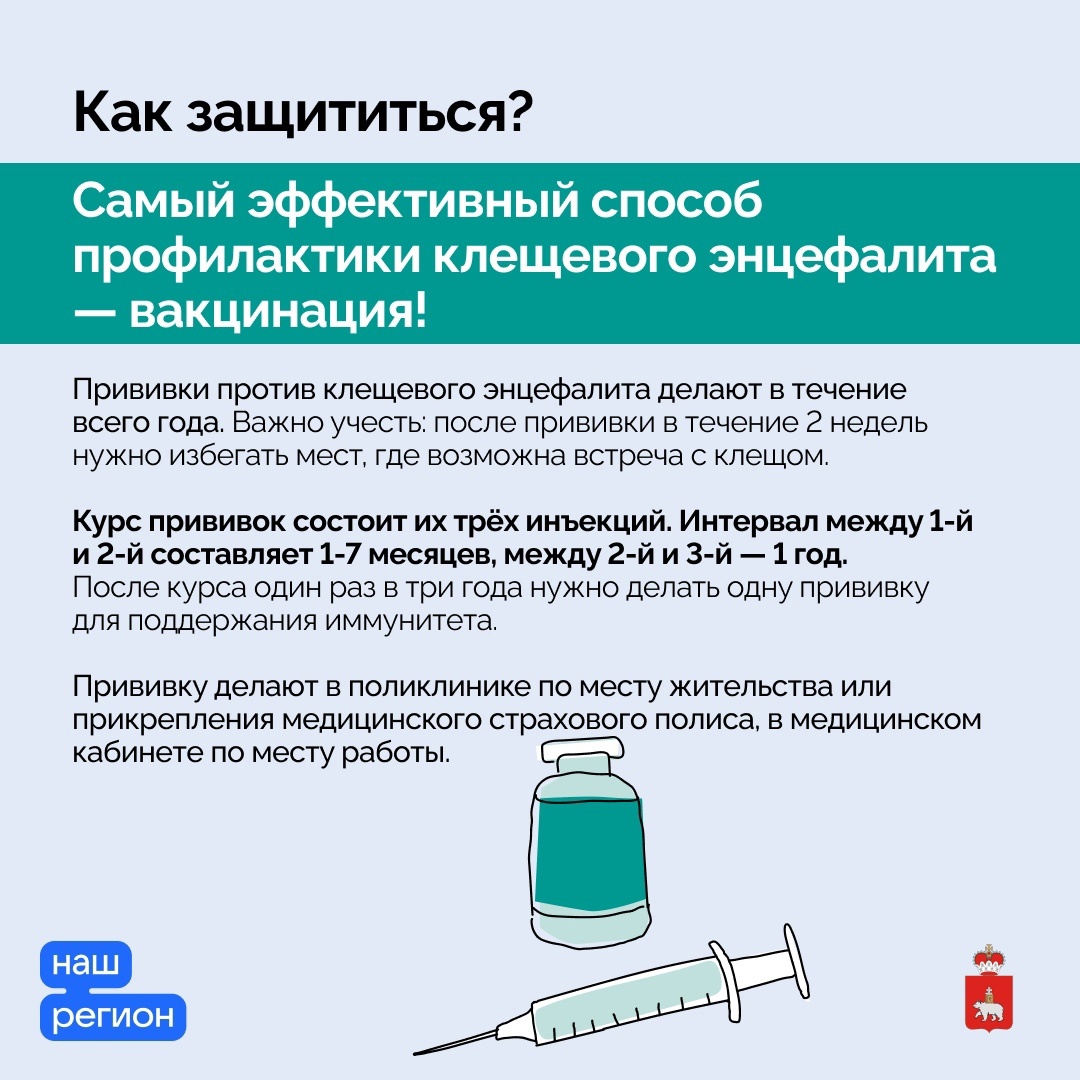 В Прикамье официально начался сезон активности клещей. Список адресов  приема и лабораторного исследования клещей. | 16.04.2024 | Пермь -  БезФормата