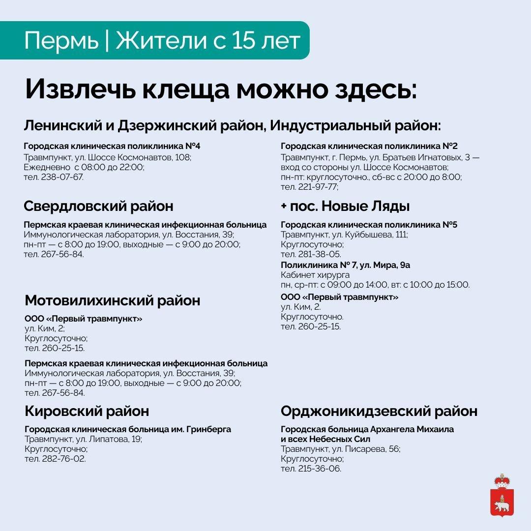 В Прикамье официально начался сезон активности клещей. Список адресов  приема и лабораторного исследования клещей. | 16.04.2024 | Пермь -  БезФормата